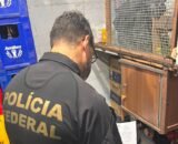 pf-fiscaliza-seguranca-privada