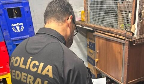 pf-fiscaliza-seguranca-privada