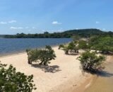 praias-paradisiacas-imersao-na