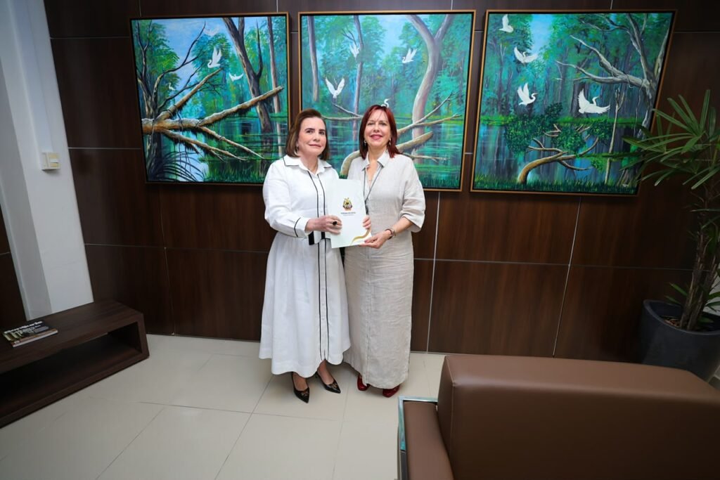 presidente-do-tce-am-entrega-a