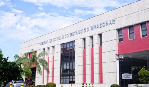 tce-am-tera-curso-gratuito-de-