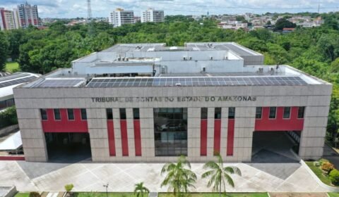tce-am-tera-ponto-facultativo-