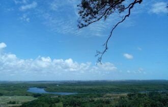 MPF denuncia três pessoas por danos ambientais em reserva