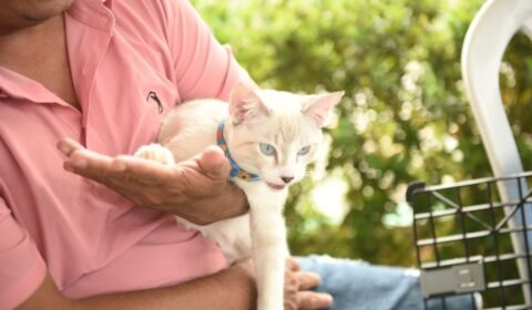 Unidade móvel da Prefeitura de Manaus realiza 280 castrações de cães e gatos na zona Leste