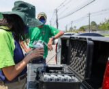 Prefeitura de Manaus intensifica ações para prevenir queimadas e combater o descarte irregular de resíduos