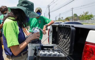 Prefeitura de Manaus intensifica ações para prevenir queimadas e combater o descarte irregular de resíduos