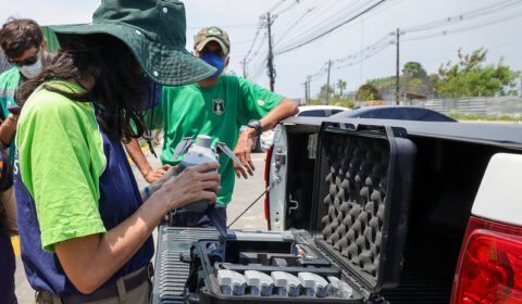 Prefeitura de Manaus intensifica ações para prevenir queimadas e combater o descarte irregular de resíduos