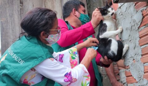 Campanha de vacinação antirrábica 2026 da prefeitura já atendeu 140 mil animais em Manaus e segue até 30 de novembro