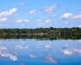 BNDES aprova R$ 250 milhões do Fundo Clima para Belterra recuperar 4 mil hectares na Amazônia