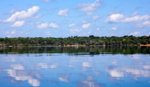 BNDES aprova R$ 250 milhões do Fundo Clima para Belterra recuperar 4 mil hectares na Amazônia