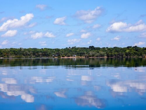 BNDES aprova R$ 250 milhões do Fundo Clima para Belterra recuperar 4 mil hectares na Amazônia