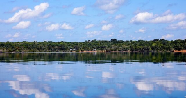 BNDES aprova R$ 250 milhões do Fundo Clima para Belterra recuperar 4 mil hectares na Amazônia
