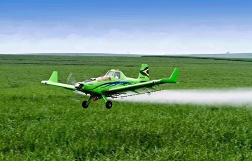 Multas de R$ 42,9 milhões e ações de vigilância reforçam combate a agrotóxicos