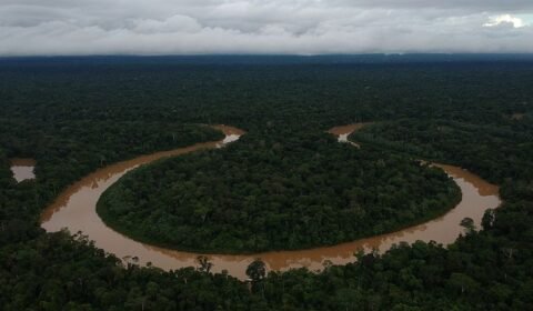 MPF garante a condenação de ex-coordenador da Funai que incitou violência contra indígenas