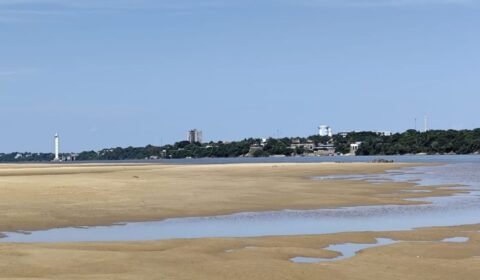 Rio Negro fica abaixo dos 18 m em Manaus e segue em vazante regular na Bacia do Amazonas