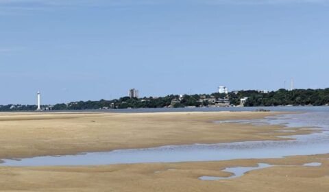 Rio Negro fica abaixo dos 18 m em Manaus e segue em vazante regular na Bacia do Amazonas