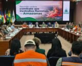 Suframa sedia reunião sobre ações de combate aos incêndios florestais no Amazonas
