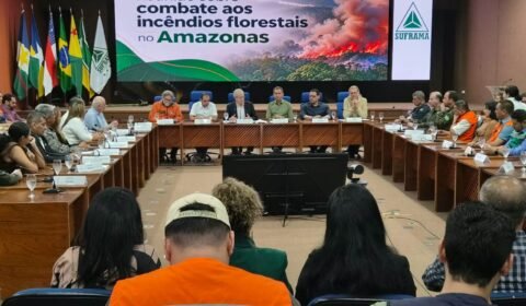 Suframa sedia reunião sobre ações de combate aos incêndios florestais no Amazonas