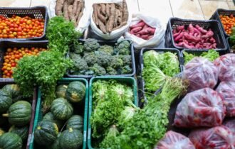 Segurança alimentar exige esforço coletivo e articulação
