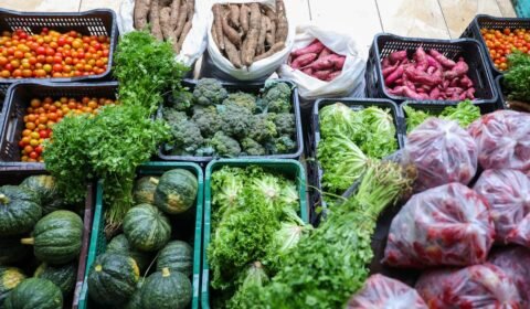 Segurança alimentar exige esforço coletivo e articulação