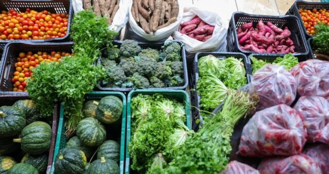Segurança alimentar exige esforço coletivo e articulação